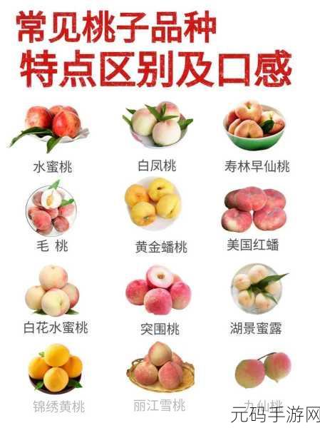 水蜜桃和水蜜桃V2：1. 水蜜桃的魅力与水蜜桃V2的创新探讨
