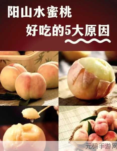 水蜜桃和水蜜桃V2：1. 水蜜桃的魅力与水蜜桃V2的创新探讨