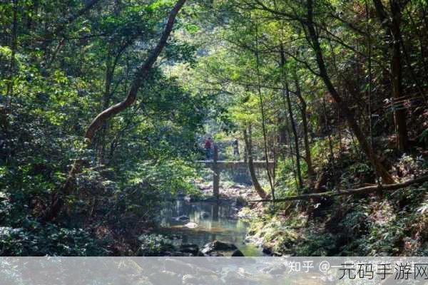 旅行青蛙,解锁绝美风景,揭秘照片地点全攻略