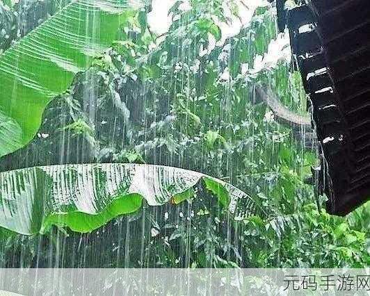 雨打芭蕉电影免费观看高清：1. 《雨打芭蕉：情感细腻的岁月交错