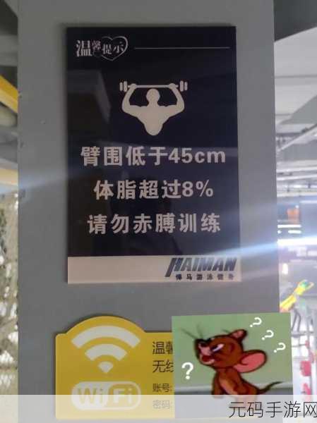 不可以在这里做有人：1. 探索限制与可能：如何在不可以的领域寻找机会
