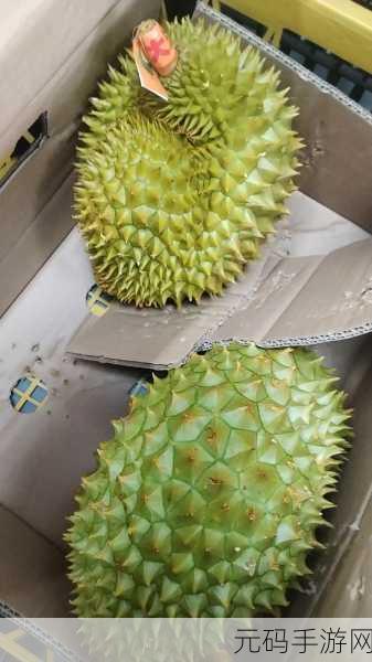 草莓丝瓜香蕉向日葵榴莲18岁污：1. 草莓与榴莲的奇妙碰撞：18岁青春的味道
