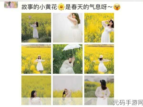 老孙头的春天在晋江的更新时间：1. 《春天里的老孙头：晋江的暖阳与故事