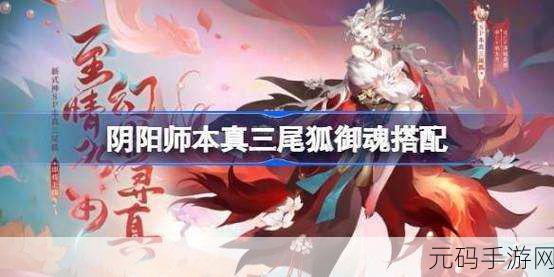 阴阳师三尾狐御魂搭配新攻略，解锁极致输出新境界