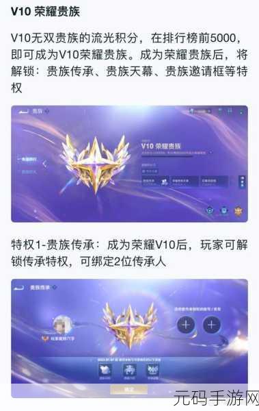 王者荣耀共享皮肤新玩法，贵族特权下的个性化盛宴