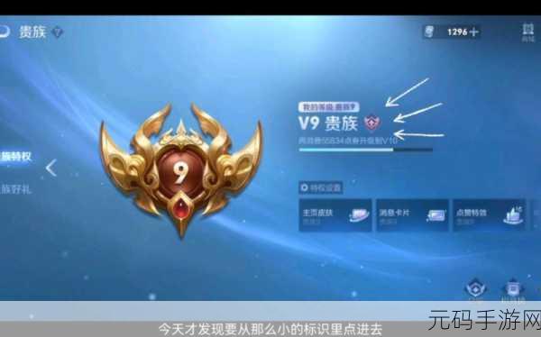 王者荣耀共享皮肤新玩法，贵族特权下的个性化盛宴