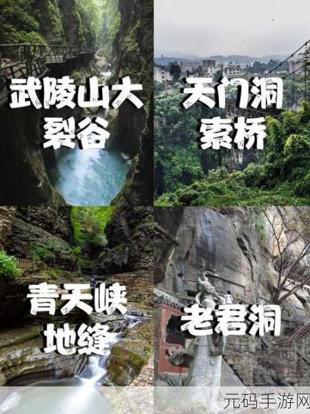 归龙潮风靡一时，帛票获取攻略大揭秘