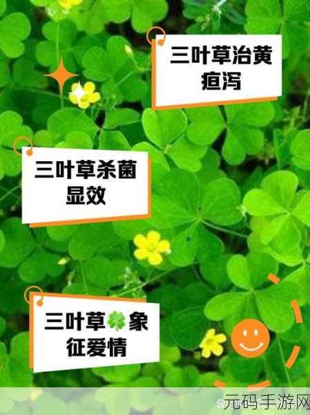 成品网站W灬源码1688三叶草怎么获取:根据成品网站W灬源码以及1688三叶草的相关信息,可以从以下几个方面拓展出新的