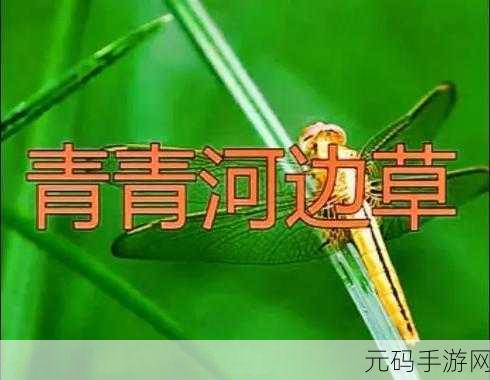 青青河边草高清免费版新闻的制作过程：1. 青青河边草：从创意构想到完美呈现的幕后故事