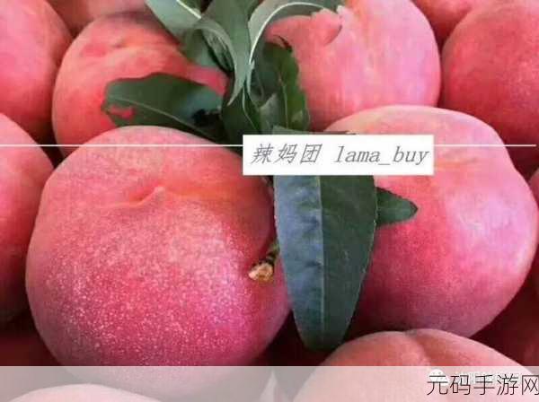 无人一区二区区别红桃内幕揭秘：1. 无人一区二区揭秘：红桃内幕的真相与分析