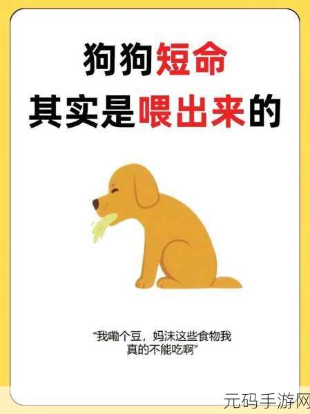 狗狗和人胶配方大全高清:1. 狗狗与人胶的完美配方大全