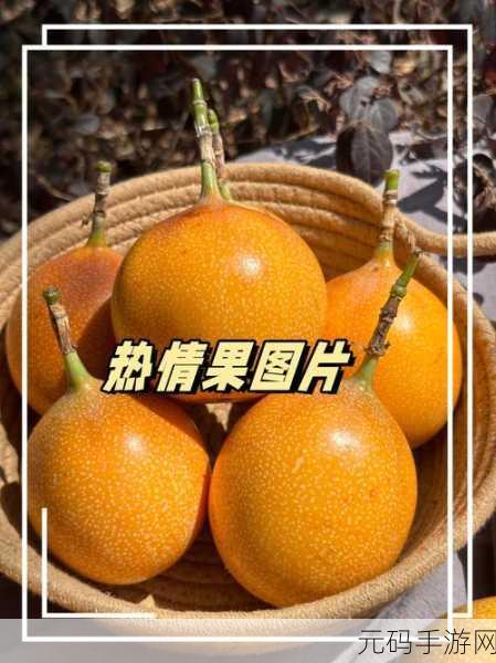 草莓水蜜桃香蕉甜橙芒果:1. 多汁水果盛宴:草莓、水蜜桃与热带风情