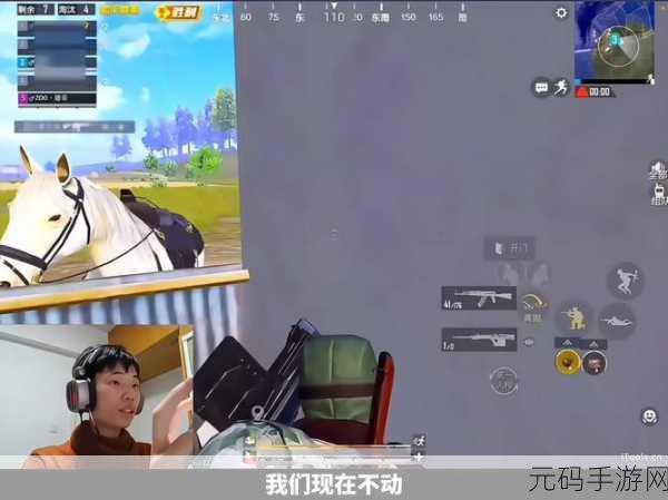 和平精英新攻略,揭秘免费解锁鲨鱼套装的秘密
