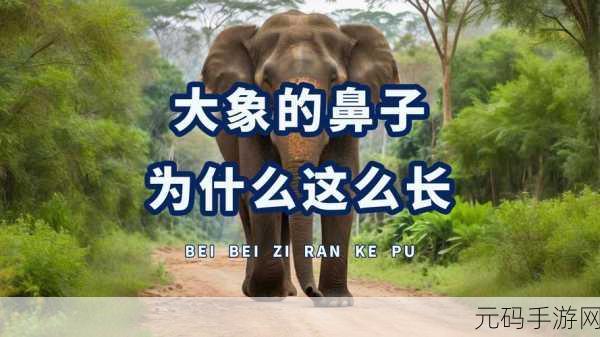 伊春园2023入口直达大象听说有30分钟视频:1. 伊春园2023:30分钟直达大象的奇妙之旅