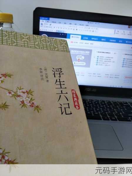 雨后的小故事2：1. 雨后阳光下的奇妙邂逅