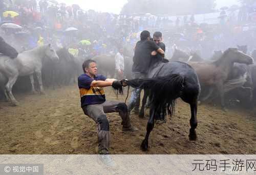 免费人马大战CSDN软件：1. 《人马大战：探索CSDN软件的无限可能