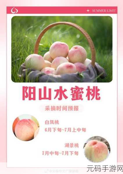 精产国品一二三产品蜜桃:1. 精产国品蜜桃系列:自然甘甜的美味享受