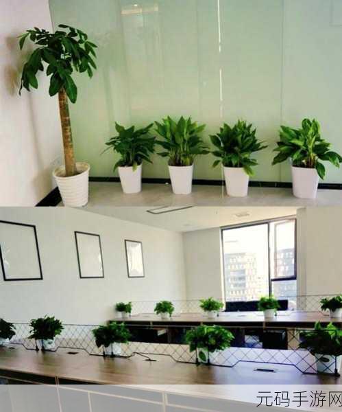 能不能在办公室干湿你：1. 办公室环境：湿润与干燥的工作影响分析