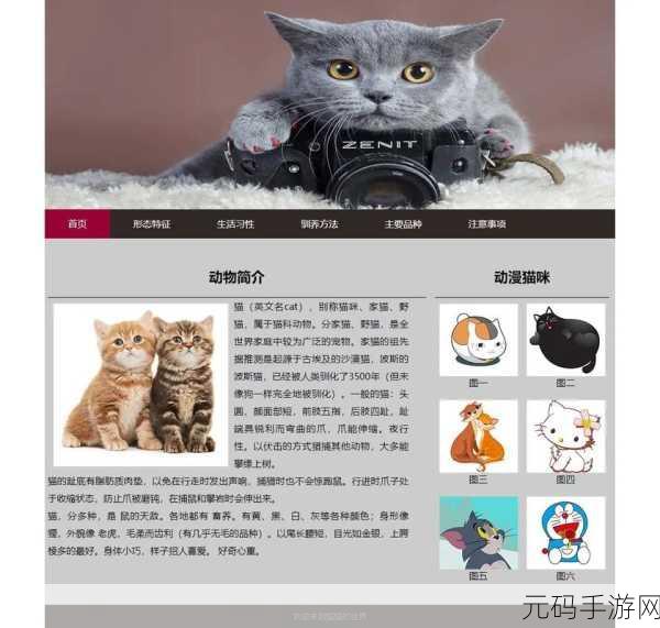 DW成品网站成品目前恢复正常：1. DW成品网站全面恢复，购物体验焕然一新！
