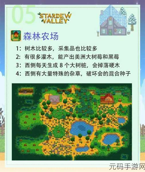 星露谷物语神秘胶囊大揭秘，全方位探索其用法与效能