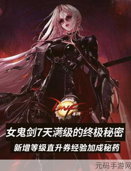 DNF 手游，神秘龙护肩，魅力无可阻挡