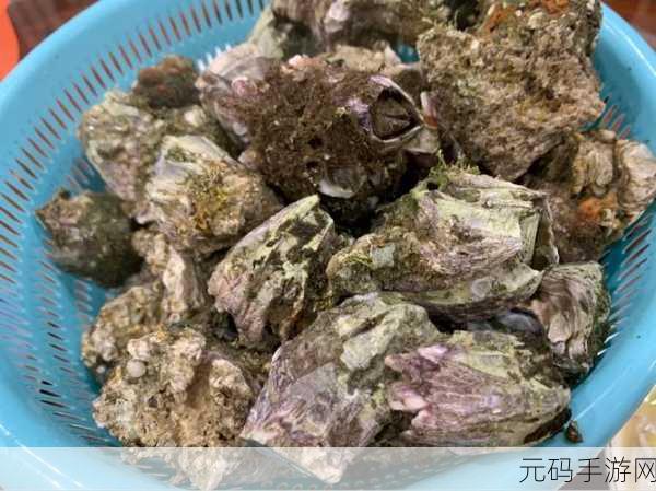 幻塔美食探索,揭秘藤壶海鲜披萨的诱人配方