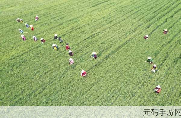 耕种妈妈肥沃的土地：1. 让耕种妈妈的土地重新焕发生机