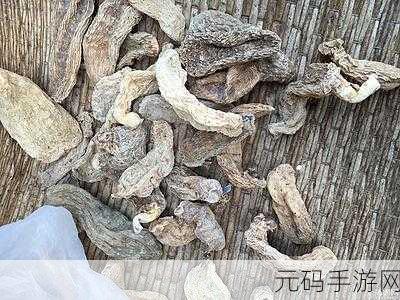 99精产国品一二三产区区：1. ＂探索99精产国品：一二三产区的独特魅力