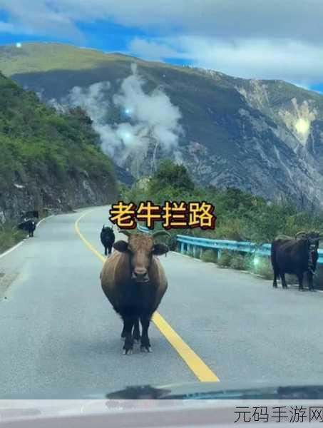 老牛犀影视文化有限公司介绍：1. ＂老牛犀影视：传承与创新的文化桥梁