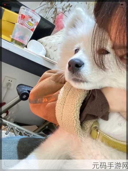 滋润BBwwBwwBBwW：1. 滋润生活，感受BBwwBww的温暖与乐趣