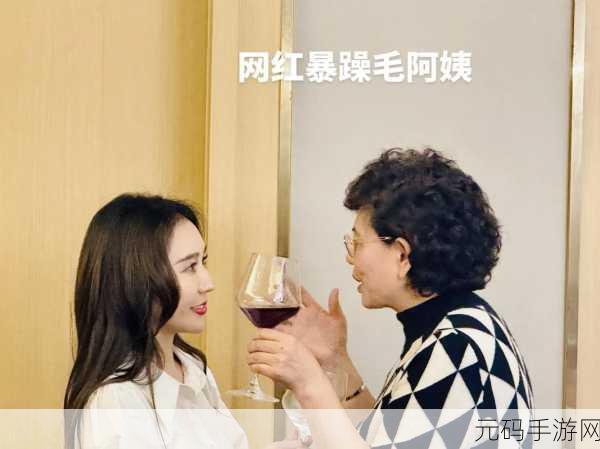 暴躁老阿姨:1. 暴躁老阿姨的生活哲学与人生智慧