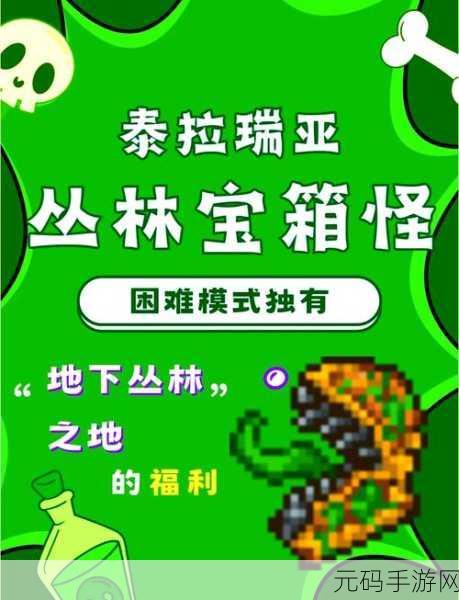 泰拉瑞亚，探秘南瓜娃娃的获取秘籍