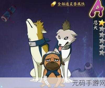 火影忍者手游，忍犬VS忍龟，谁才是你的战斗伙伴？