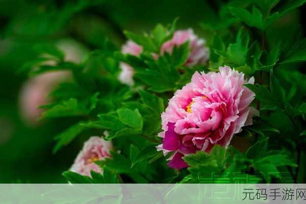 精品成品国色天香卡一卡MBA:1. 国色天香:探寻传统与现代的完美融合