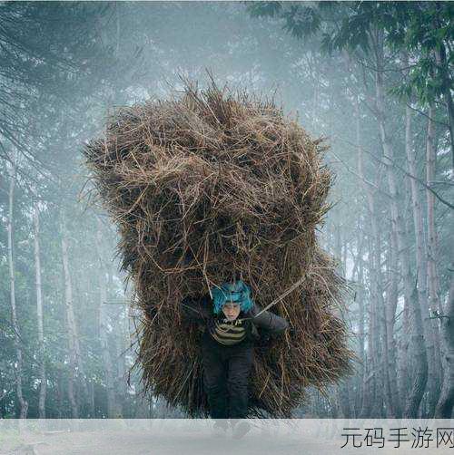中国大但人文艺术,摄影：1. 透过镜头看中国：人文艺术的多元叙事