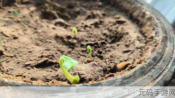 榨汁精灵的繁衍条件新发现:1. 榨汁精灵的繁衍秘密:探索生存与成长之道