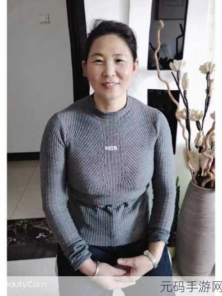 沈阳老阿姨最后的巅峰升级成功：1. 沈阳老阿姨的巅峰升级之路揭秘