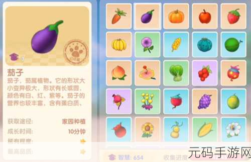 摩尔庄园手游炖龙虾食谱大揭秘，美味轻松制作