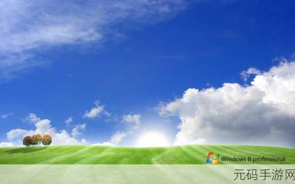 高清VPSWINDOWS的特点种子无限下载：1. 体验高清VPS WINDOWS，畅享无限种子下载快感