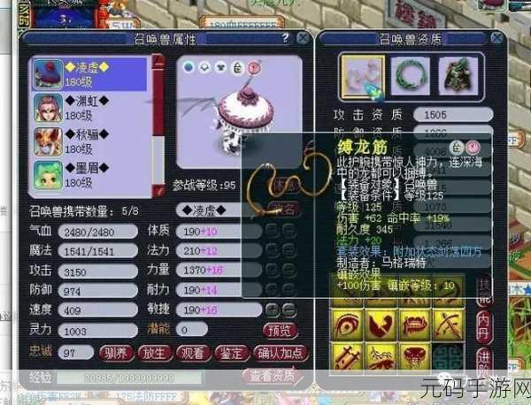梦幻西游手游，揭秘配速宠的奥秘与速度需求