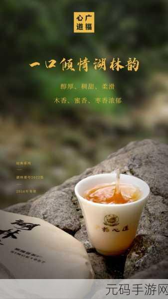 温茶poH傅舒言:温茶之道:细品生活的每一刻