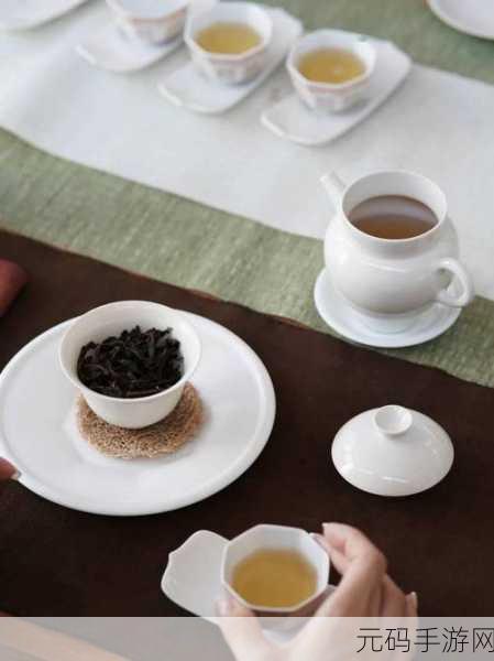 温茶poH傅舒言:温茶之道:细品生活的每一刻