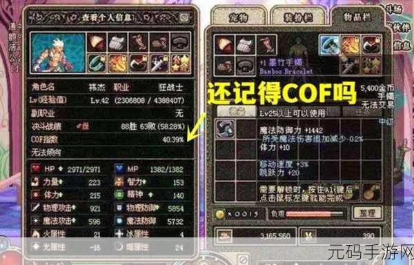 DNF玩家必看，揭秘COF指数背后的秘密