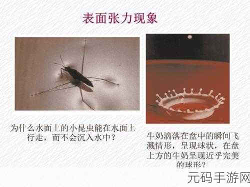 粘稠的液体流出来了:1. 粘稠液体流动的奇妙现象解析