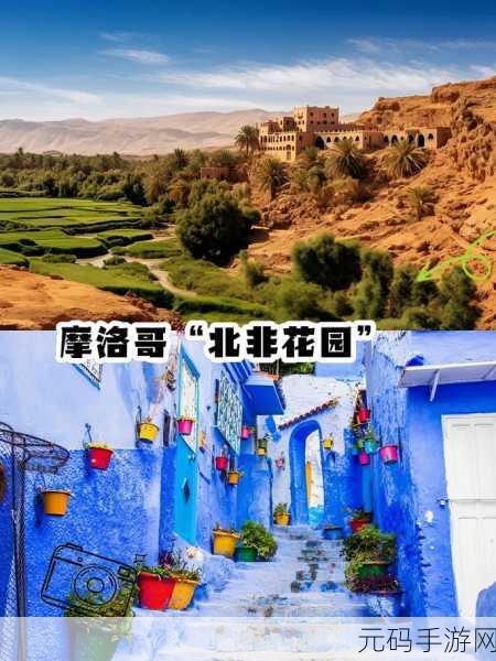 探秘非洲BBOOMBBOOM被不少女主播们推荐：1. 探秘非洲BBOOMBBOOM：主播们的热爱之地