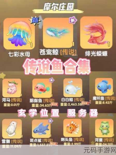 摩尔庄园手游,探秘传说鱼的神秘出没之境