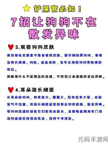 狗狗的东西又硬又烫又臭怎么办:1. 如何处理狗狗身上的异味与不适?