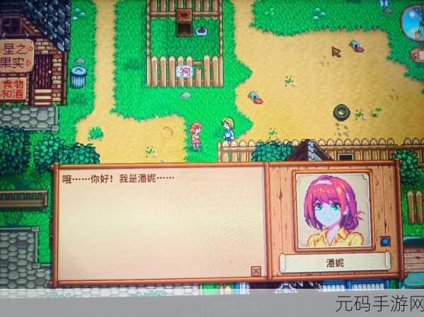 星露谷物语浪漫升级,揭秘潘妮八心剧情触发秘籍