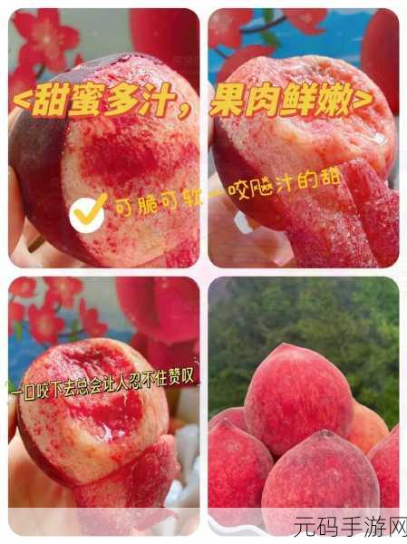 AROUNDME水蜜桃身体喷雾：1. 清新水蜜桃香气，唤醒你的每一天