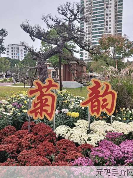 菊花放一支笔：1. 菊花盛开与笔墨飘香的诗意交融